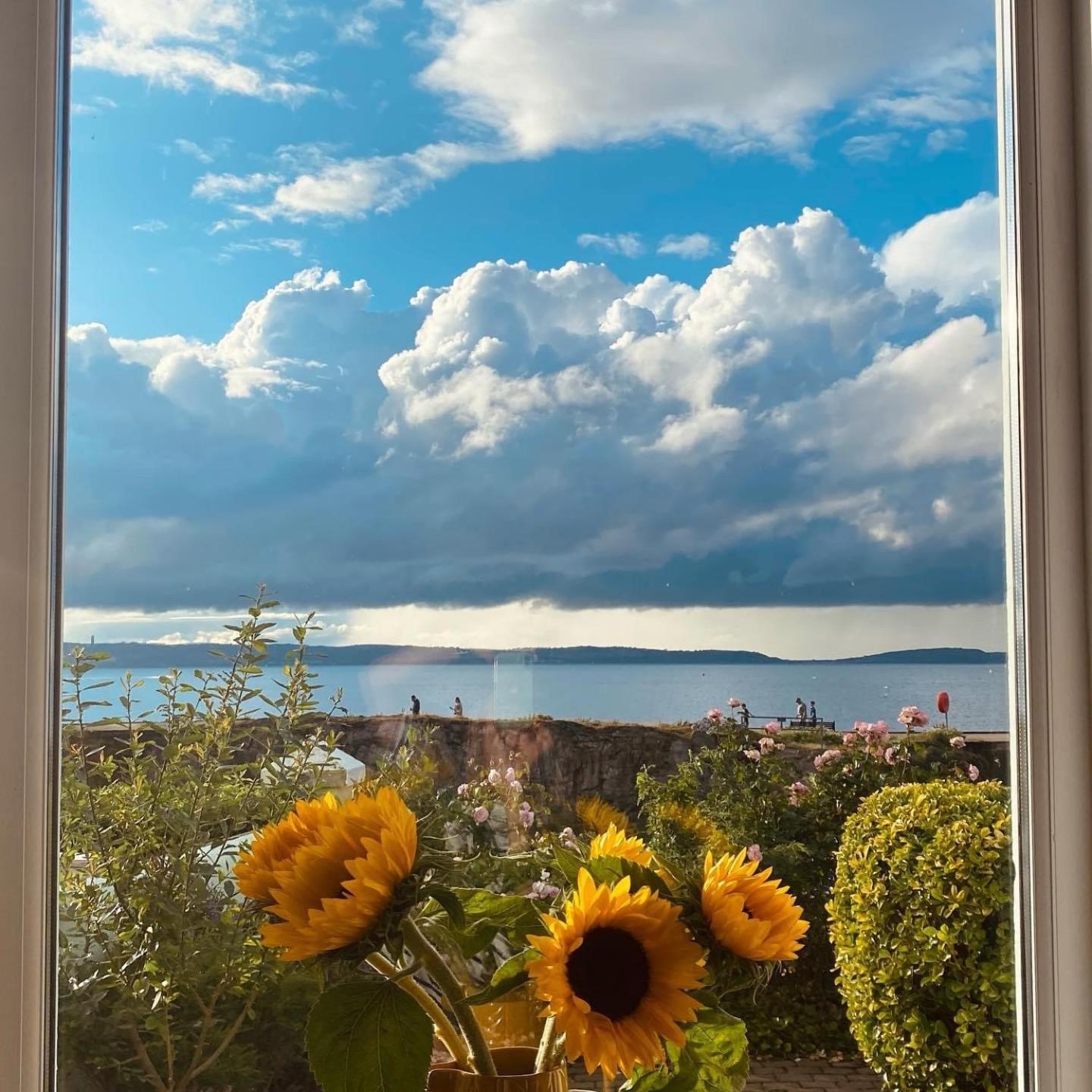 Loughview Ξενοδοχείο Μπάνγκορ Εξωτερικό φωτογραφία